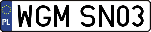 WGMSN03
