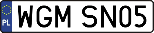 WGMSN05