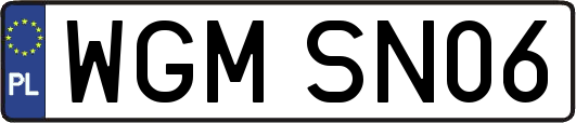 WGMSN06