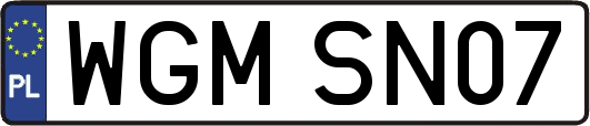 WGMSN07