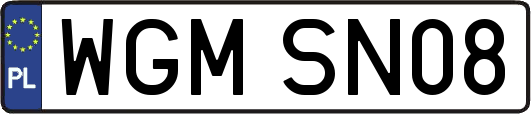 WGMSN08