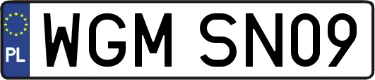WGMSN09