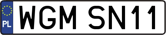 WGMSN11