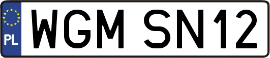 WGMSN12