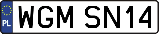 WGMSN14