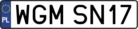 WGMSN17