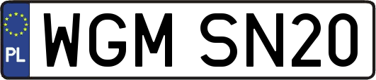 WGMSN20