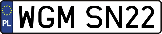 WGMSN22
