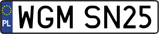 WGMSN25