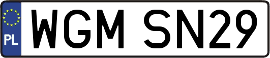 WGMSN29