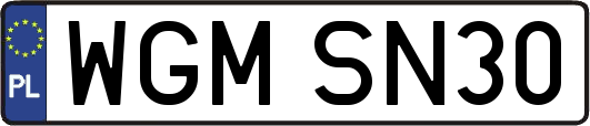 WGMSN30