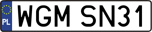 WGMSN31