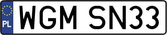 WGMSN33