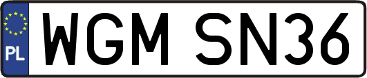 WGMSN36