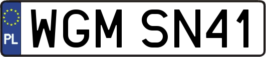 WGMSN41