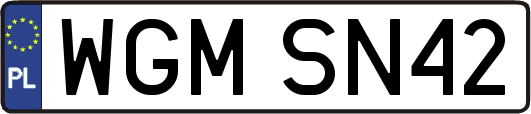 WGMSN42