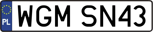 WGMSN43