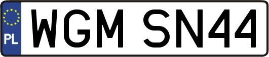 WGMSN44