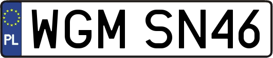 WGMSN46