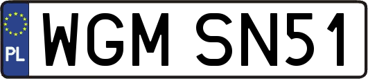 WGMSN51