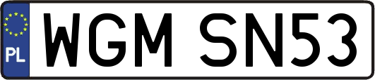 WGMSN53