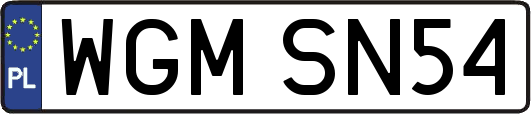 WGMSN54