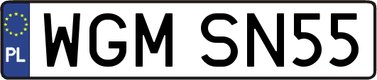WGMSN55
