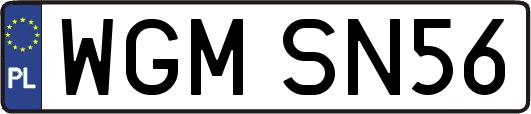 WGMSN56