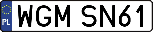 WGMSN61