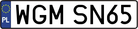 WGMSN65