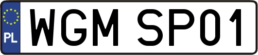 WGMSP01