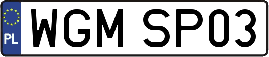 WGMSP03