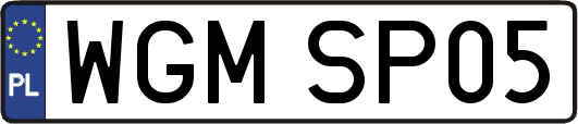 WGMSP05