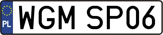WGMSP06