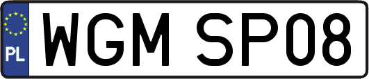 WGMSP08