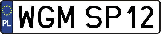 WGMSP12