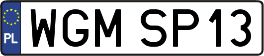 WGMSP13
