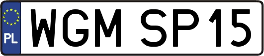 WGMSP15