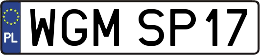 WGMSP17