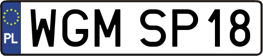 WGMSP18