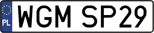 WGMSP29