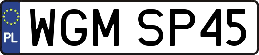 WGMSP45