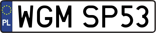 WGMSP53