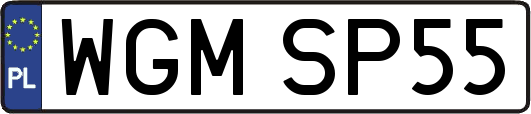 WGMSP55