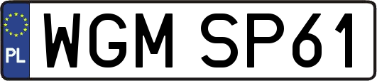 WGMSP61