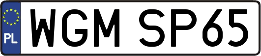 WGMSP65