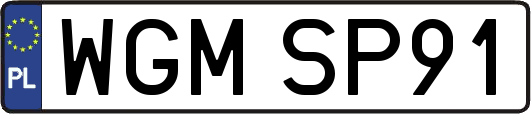 WGMSP91