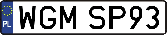 WGMSP93