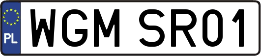 WGMSR01