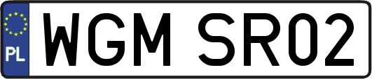 WGMSR02